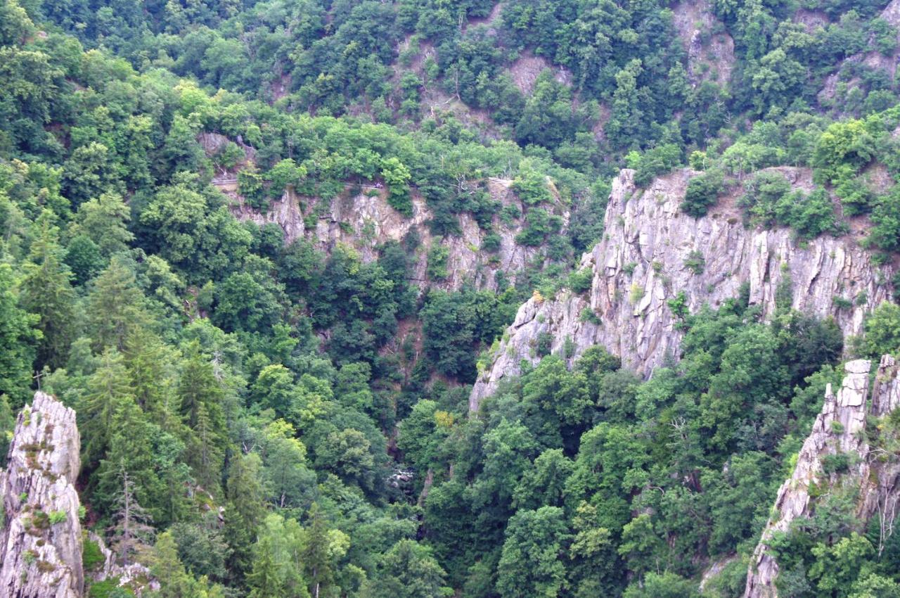 Feriendomizil Schlossblick Blankenburg  Εξωτερικό φωτογραφία